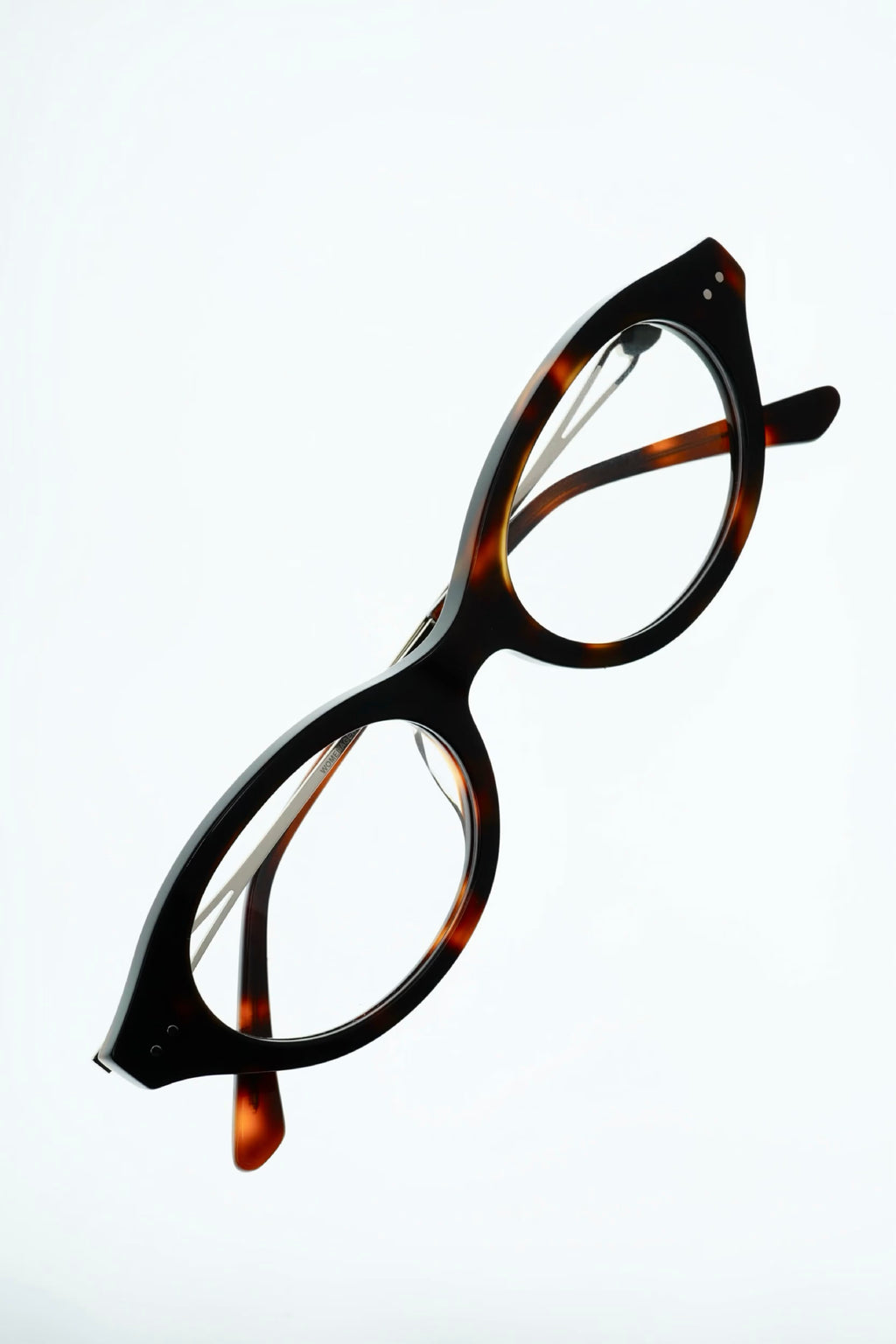 POCA – BROWN TORTOISE