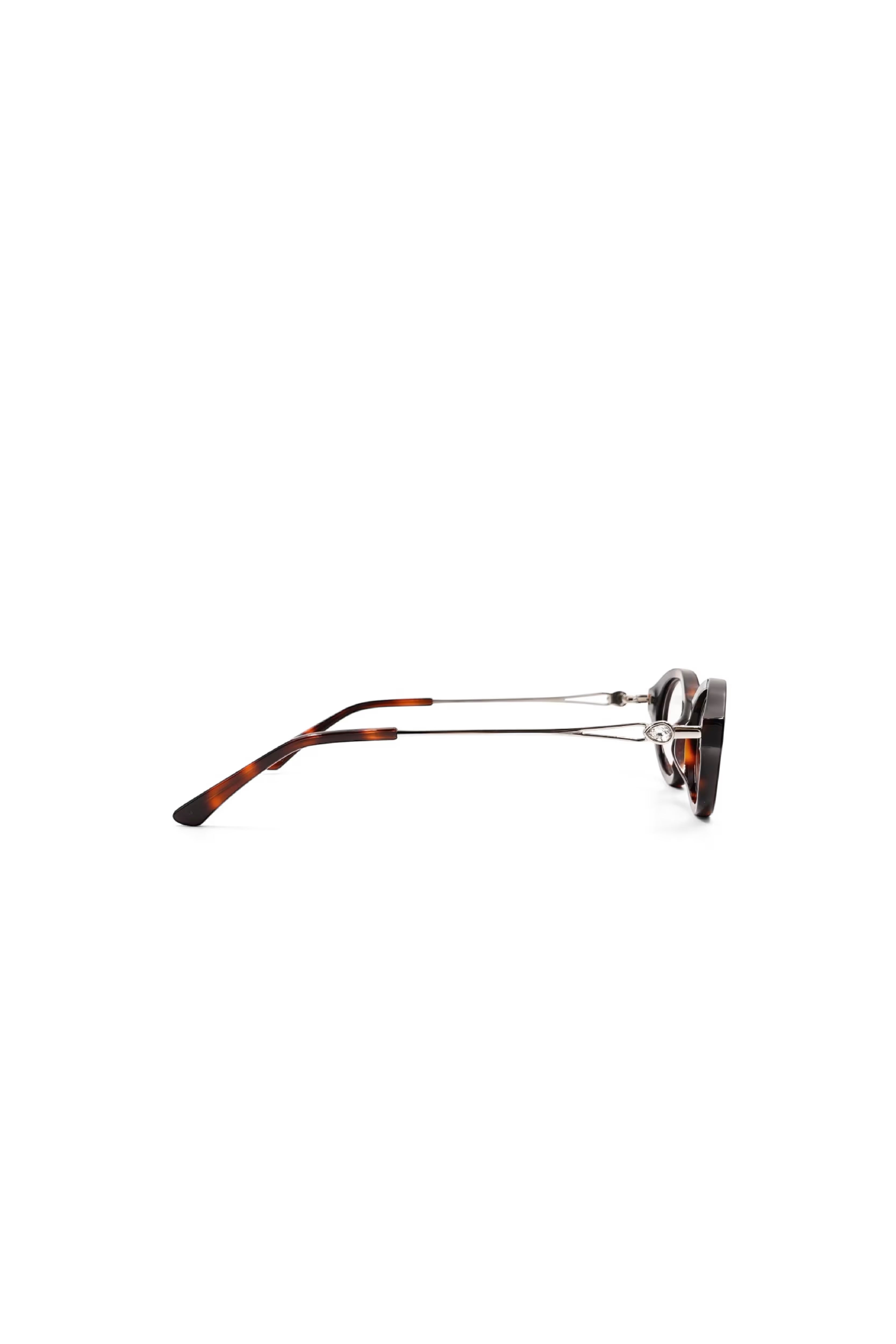 POCA – BROWN TORTOISE