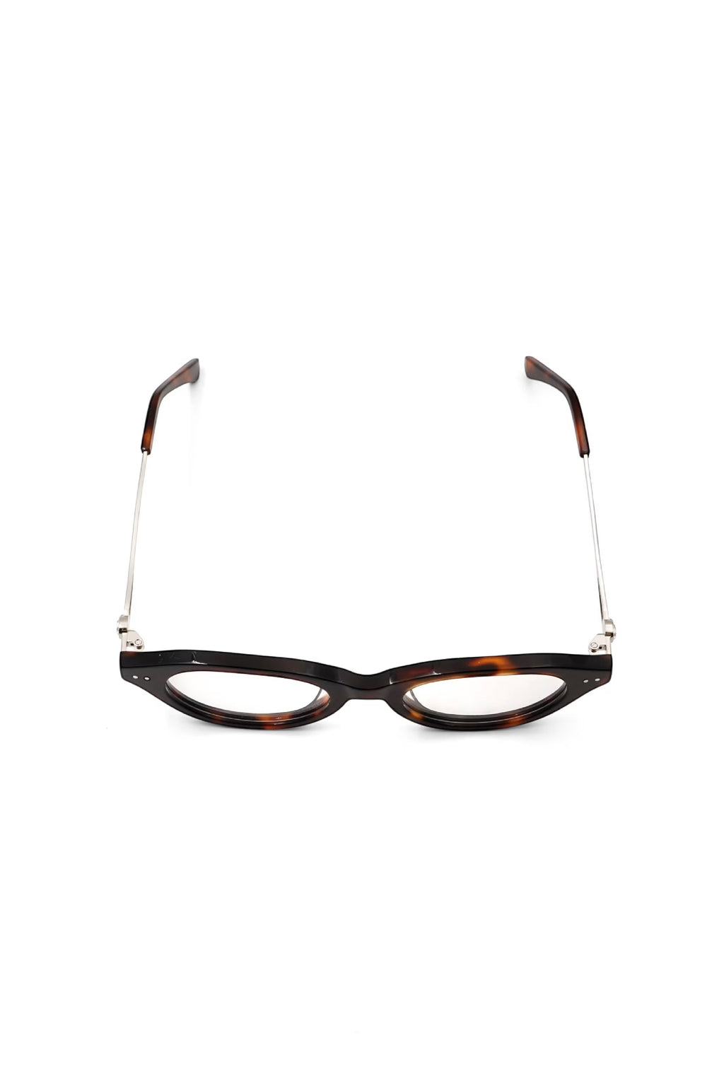 POCA – BROWN TORTOISE