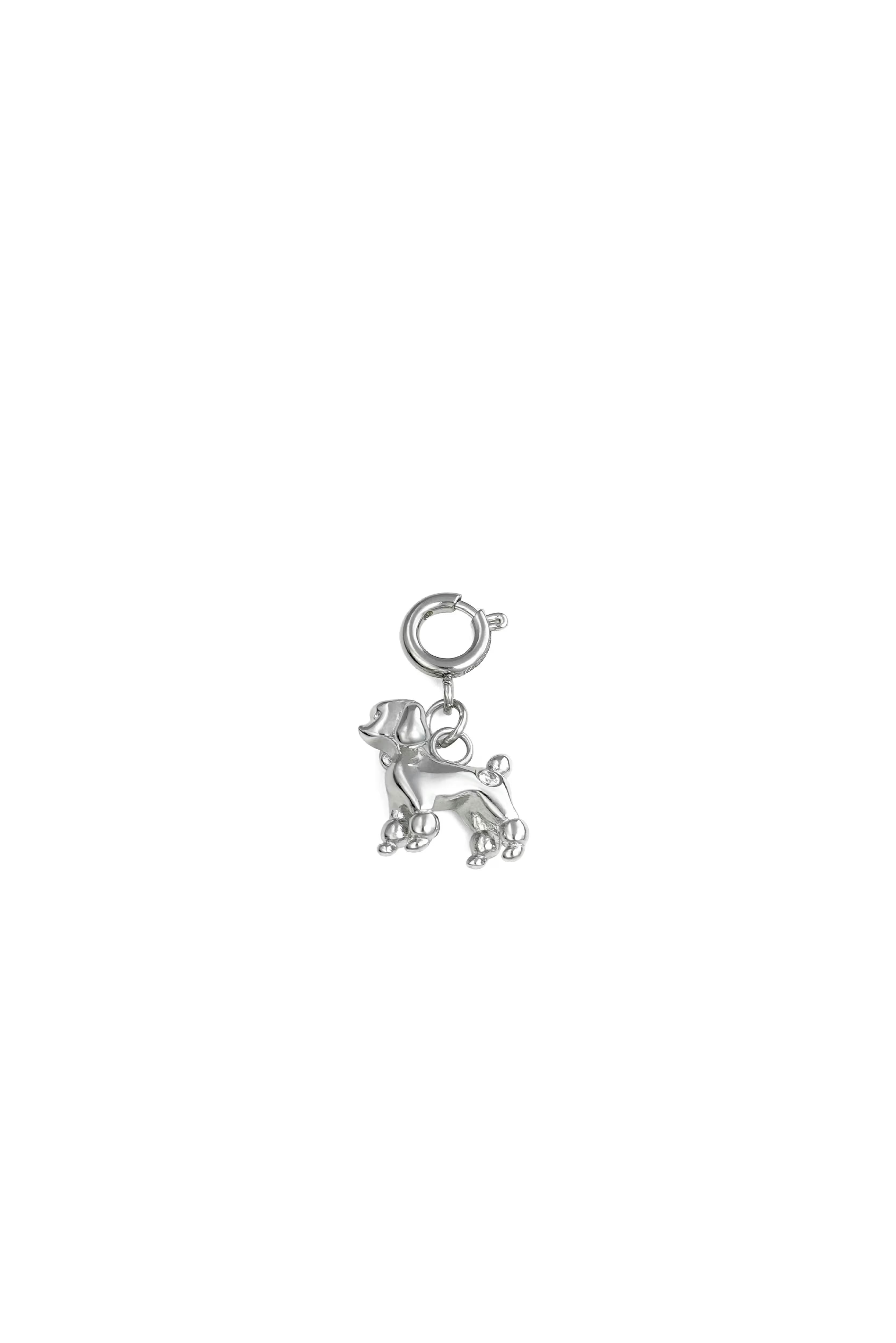 FW25 – 푸들 참